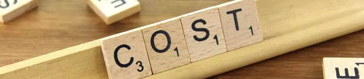 Management bedeutet Kosten