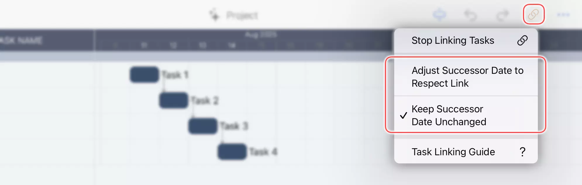 Opciones de Respetar Vínculo