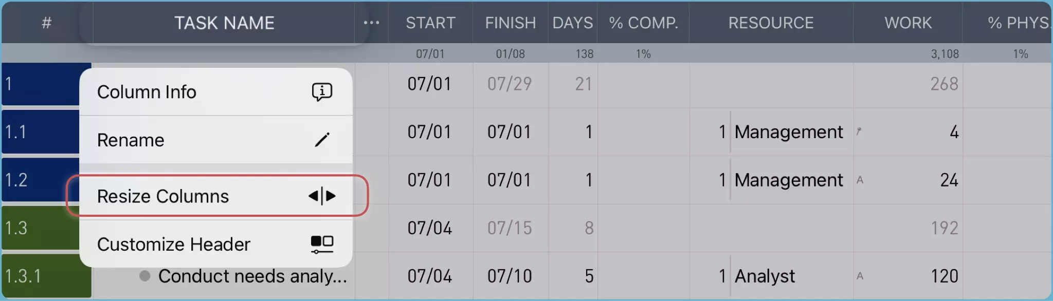 iOS 上的调整大小菜单